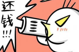 崇仁专业讨债公司有哪些核心服务？